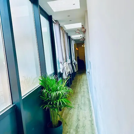 בית הארחה Piazza Di Spagna Luxury